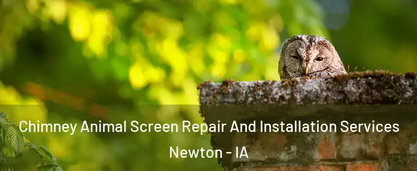  Chimney Animal Screen Repair And Installation Services Newton - IA