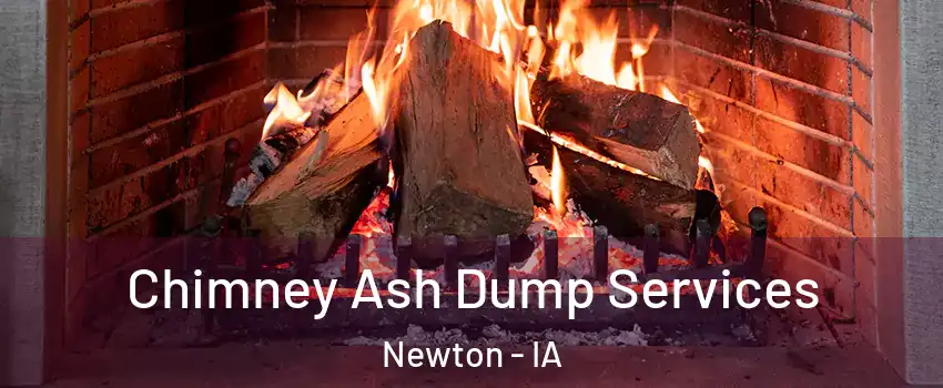  Chimney Ash Dump Services Newton - IA