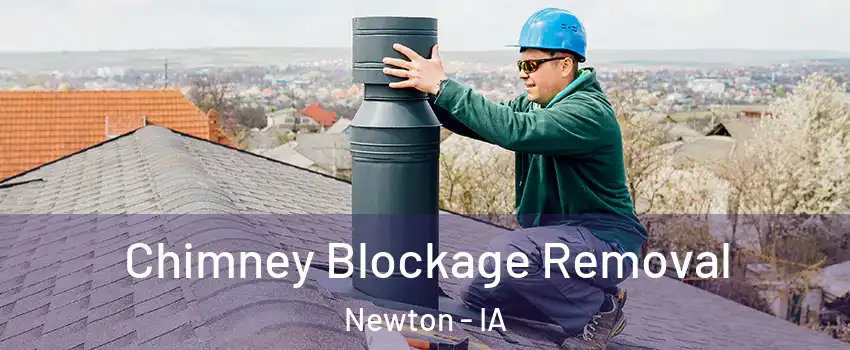  Chimney Blockage Removal Newton - IA