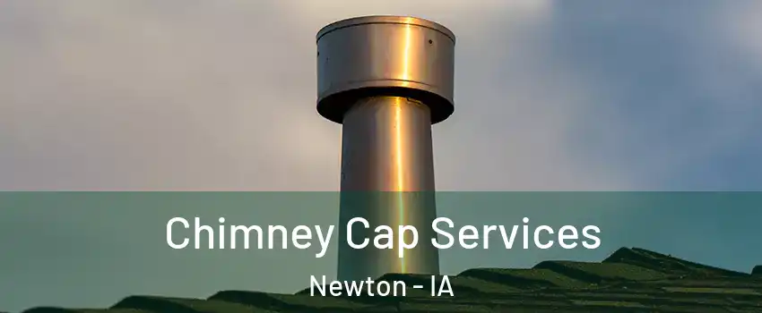  Chimney Cap Services Newton - IA