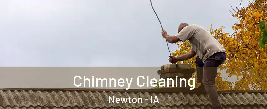  Chimney Cleaning Newton - IA