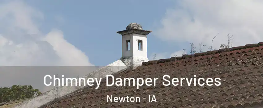  Chimney Damper Services Newton - IA
