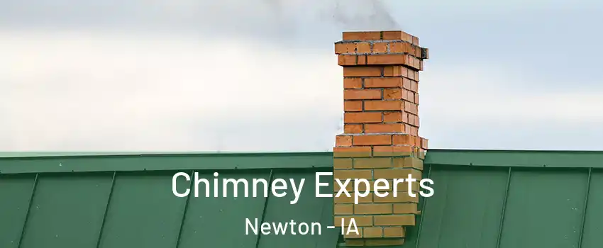  Chimney Experts Newton - IA