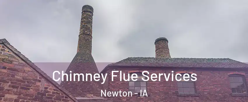  Chimney Flue Services Newton - IA