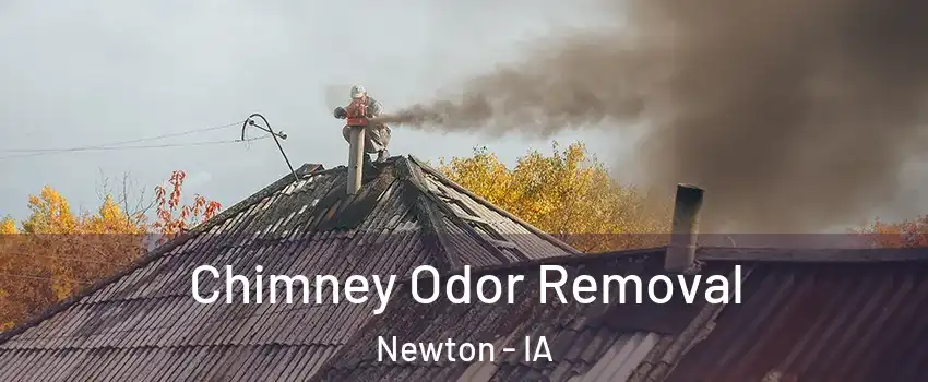  Chimney Odor Removal Newton - IA