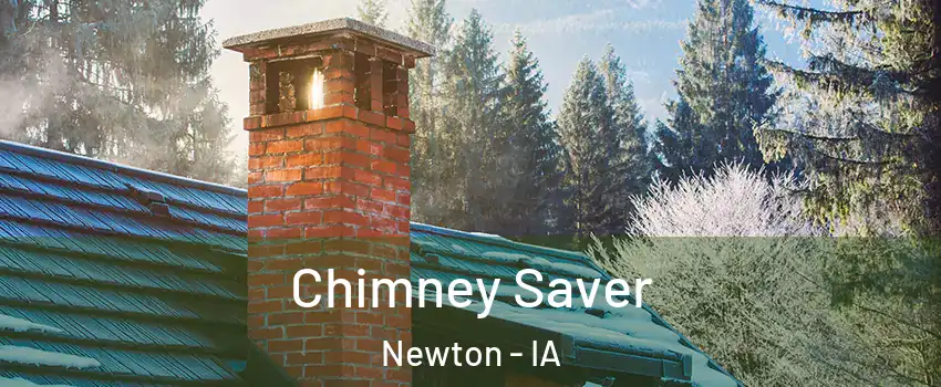  Chimney Saver Newton - IA