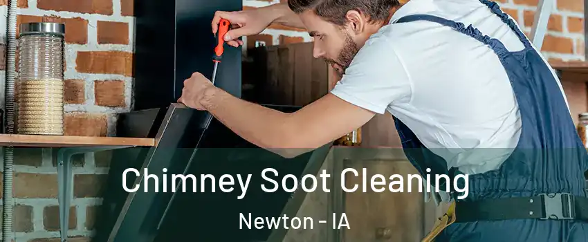  Chimney Soot Cleaning Newton - IA