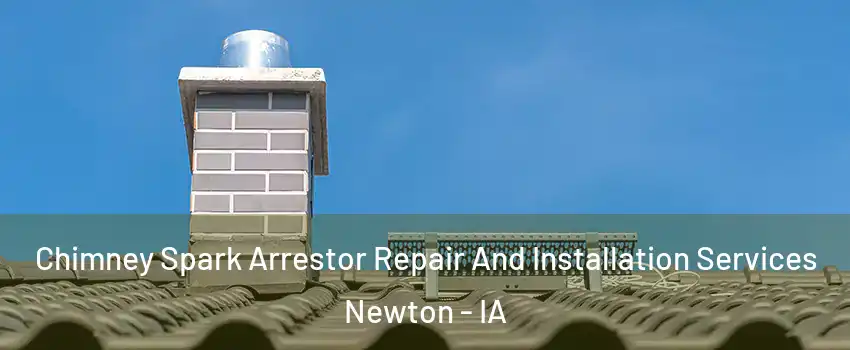  Chimney Spark Arrestor Repair And Installation Services Newton - IA