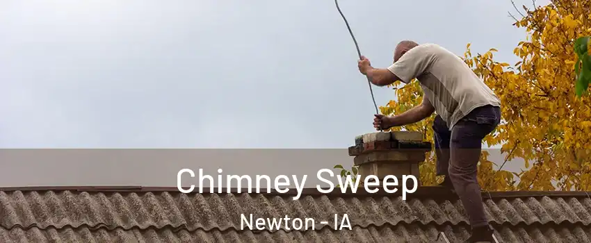  Chimney Sweep Newton - IA