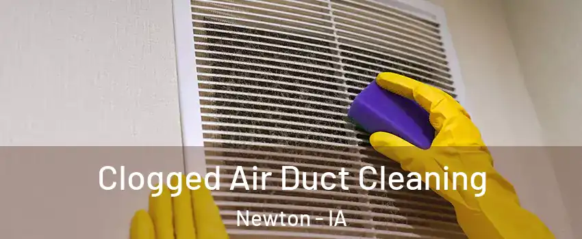  Clogged Air Duct Cleaning Newton - IA
