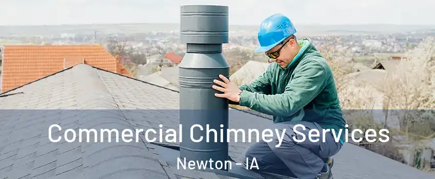  Commercial Chimney Services Newton - IA