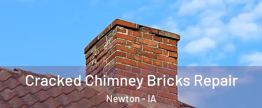  Cracked Chimney Bricks Repair Newton - IA