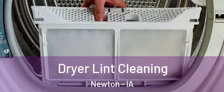  Dryer Lint Cleaning Newton - IA
