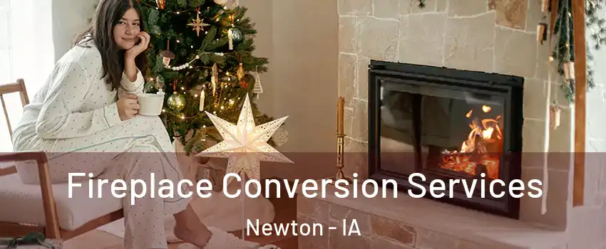  Fireplace Conversion Services Newton - IA
