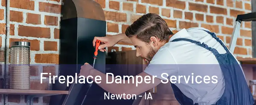  Fireplace Damper Services Newton - IA