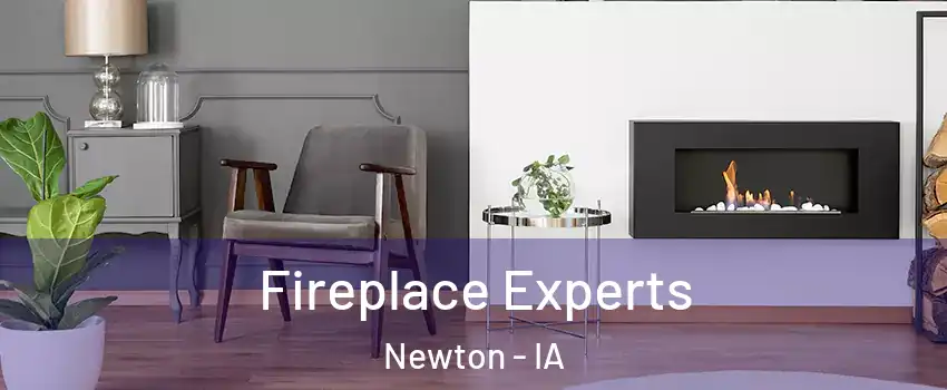  Fireplace Experts Newton - IA