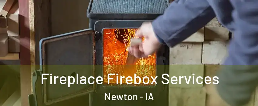  Fireplace Firebox Services Newton - IA