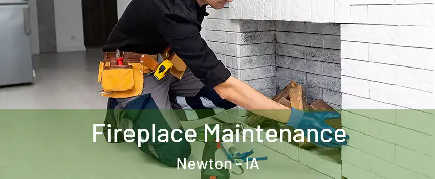  Fireplace Maintenance Newton - IA