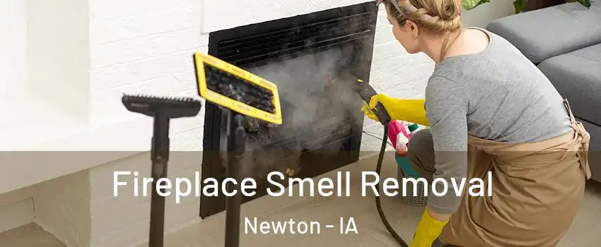 Fireplace Smell Removal Newton - IA