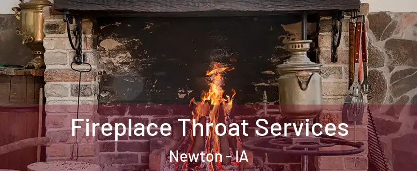 Fireplace Throat Services Newton - IA