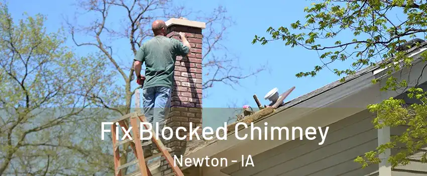  Fix Blocked Chimney Newton - IA