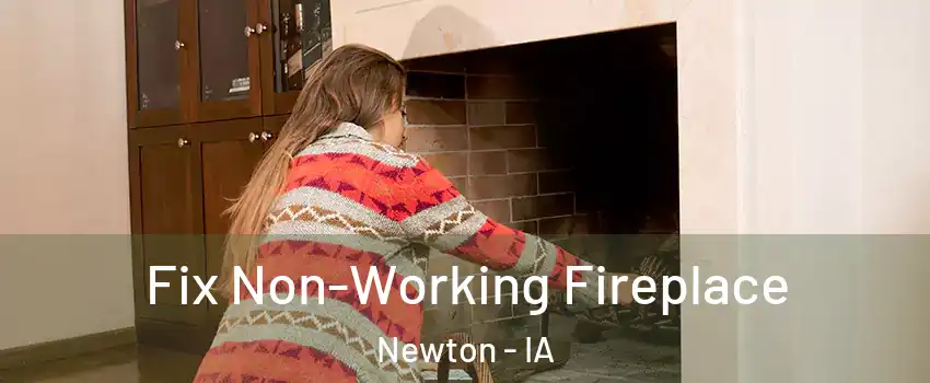  Fix Non-Working Fireplace Newton - IA