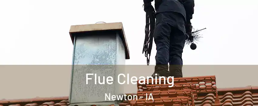  Flue Cleaning Newton - IA
