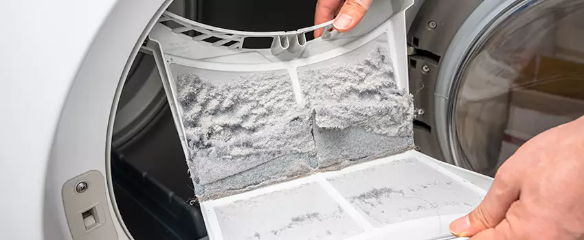 Best Dryer Lint Removal Company in Newton, Iowa