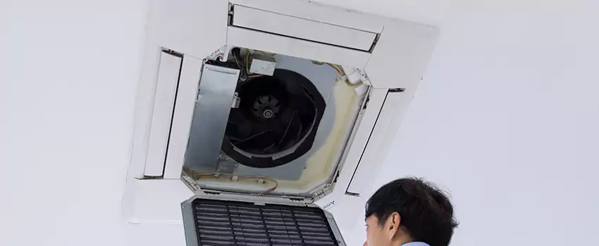Benefits of Professional Air Duct Cleaning in Newton, Iowa