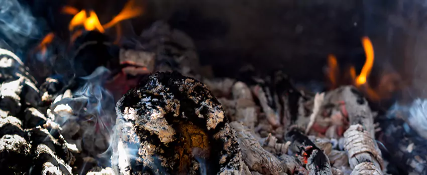 Creosote Removal Experts in Newton, IA