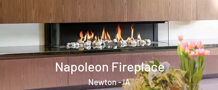  Napoleon Fireplace Newton - IA