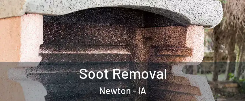  Soot Removal Newton - IA
