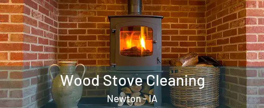  Wood Stove Cleaning Newton - IA